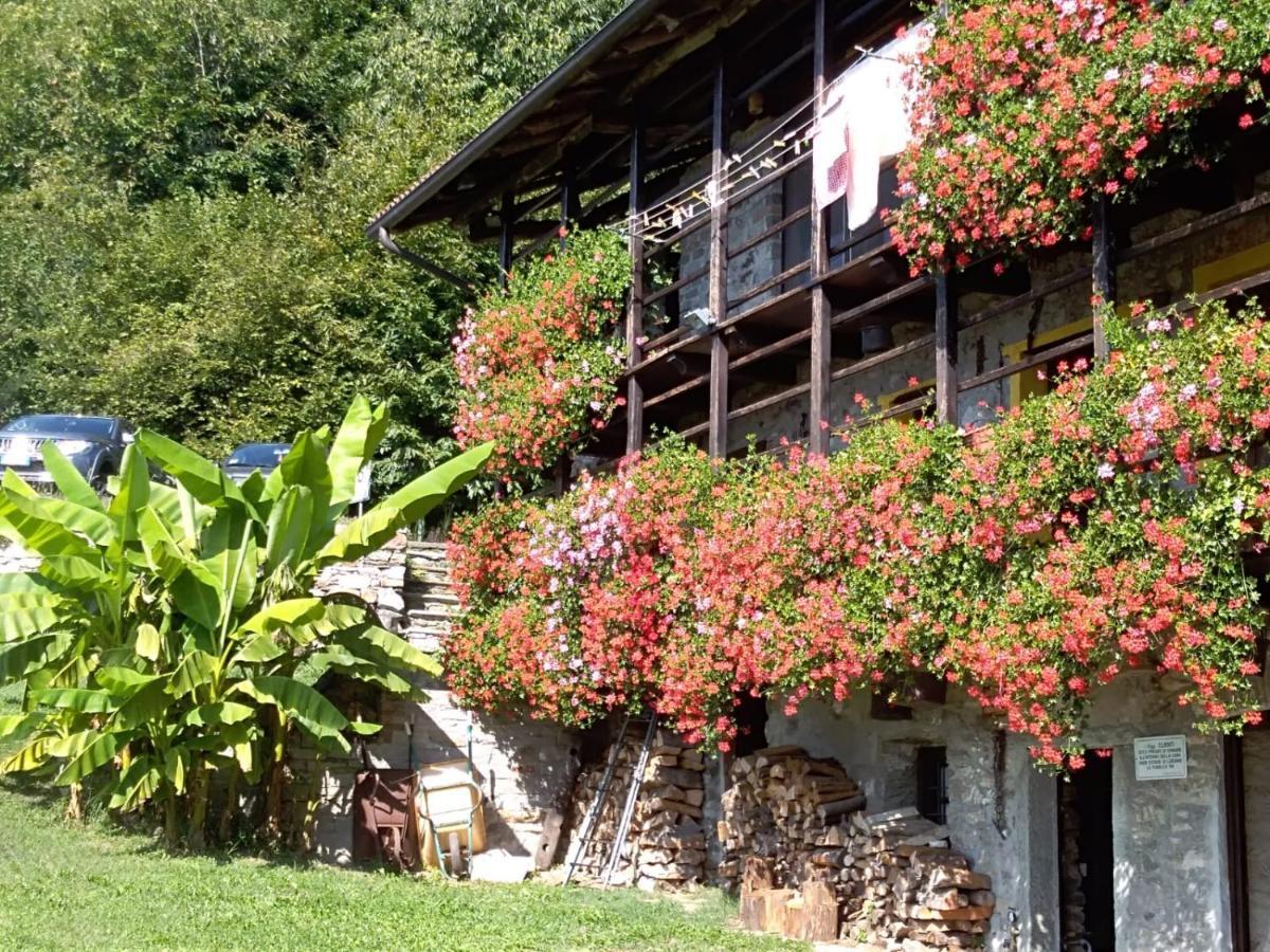 B&B "La Baita Delle Coccinelle" Varallo Kültér fotó